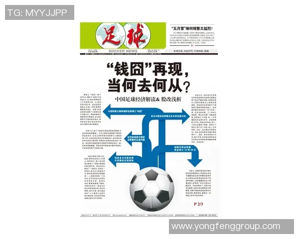 少林足球制作成本揭秘探讨其背后的经济与文化价值